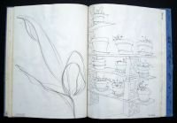 plants-29.-29-26-mar-85-