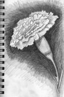 clavel