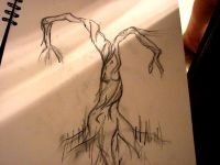 curvy-tree-sketch-1