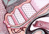 shoe_thing