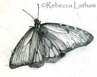 REBECCALATHAM