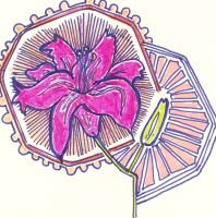 flowerscolouredpng