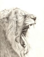 Yawn