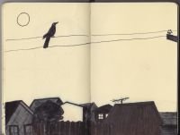 moleskin1_0022