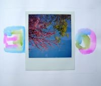 abz-spring-colors-at-msj-64-257
