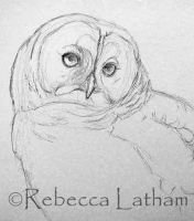 BarredSketch1101