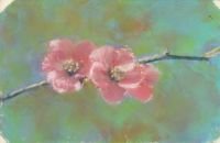 pastel_20101205_flowers_3x4-5