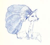 foxheaddress