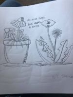 SUBGARDEN