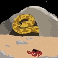 guest-artist-2512111028-morray-eel