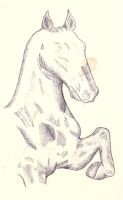 horse