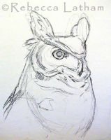greathornedowlsketch1006