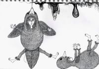 birds-problems