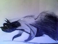 photo5_2