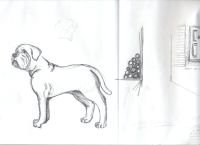 mastif (2)