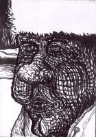 arctic_dude