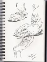 palm-from-bridgman-hands-2