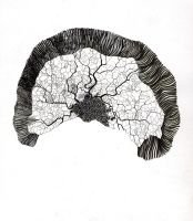 997_Brain
