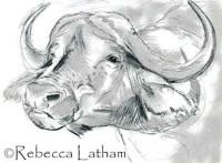 REBECCALATHAM