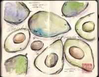 2024-indonesia-avocados