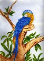 loro