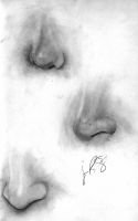 noseStudies