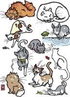 jillianostertag-collectiveofcats