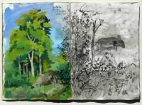 buchen-2