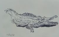 p1070330