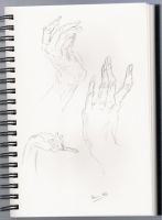 WJPALM