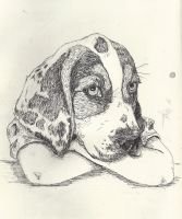 scan0026
