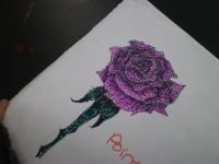 rose
