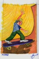 skaterii