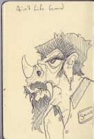 moleskin1_0008