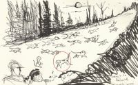 scan00255
