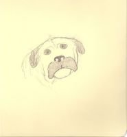 baddog