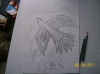 dove