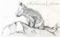 rebeccalatham-foxkitsketch0207